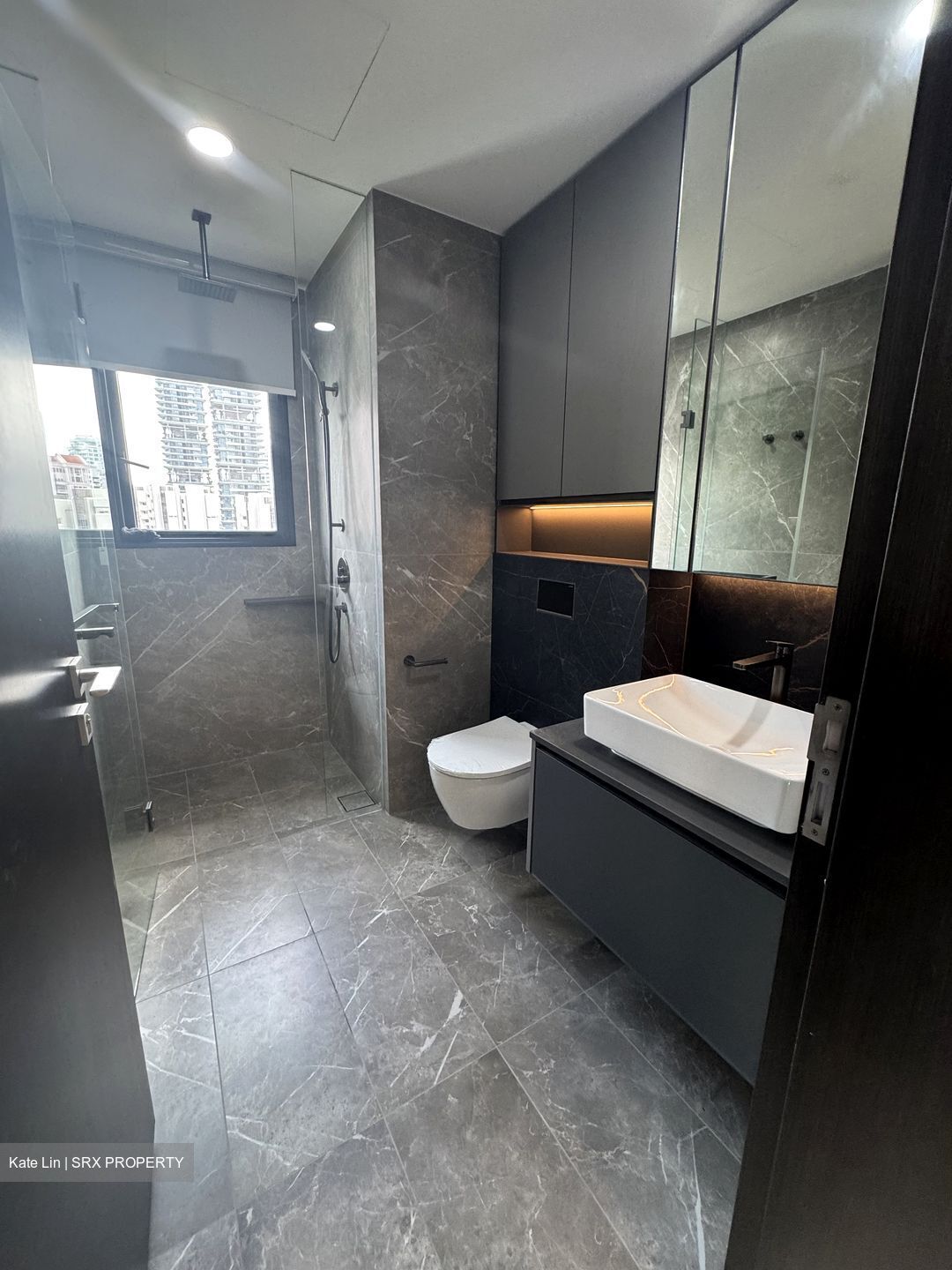 Irwell Hill Residences (D9), Apartment #546650951